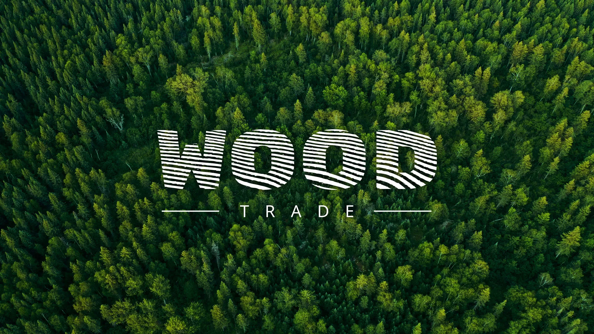 Разработка интернет-магазина компании «Wood Trade» в Питкяранте