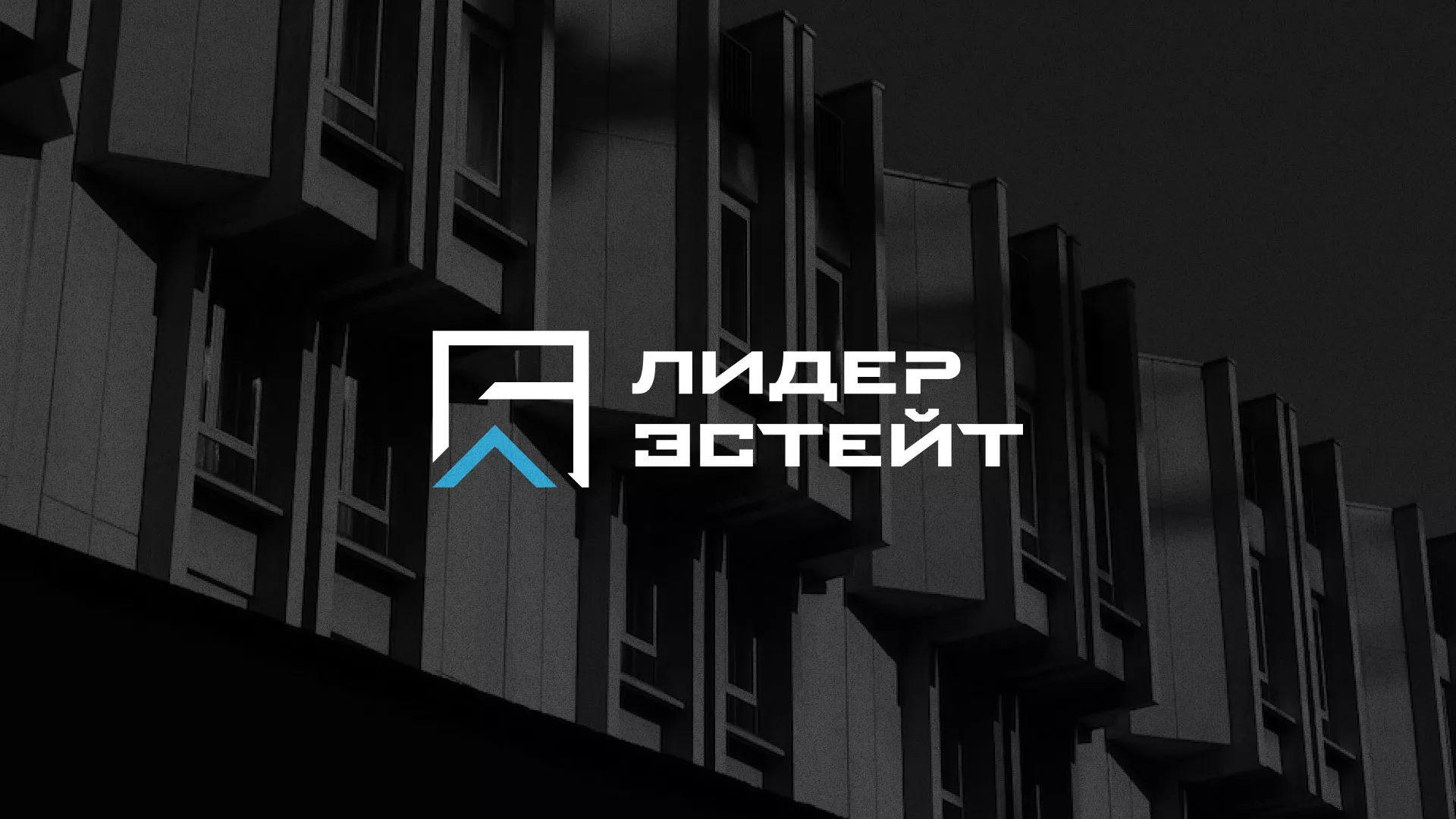 Разработка логотипа агентства недвижимости «Лидер Эстейт» в Питкяранте